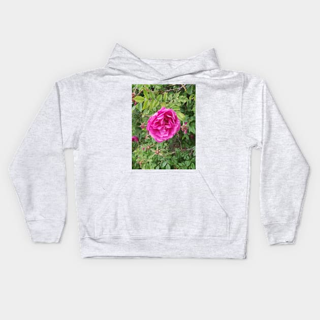 Deep pink roses on a shrub. Kids Hoodie by Kim-Pratt